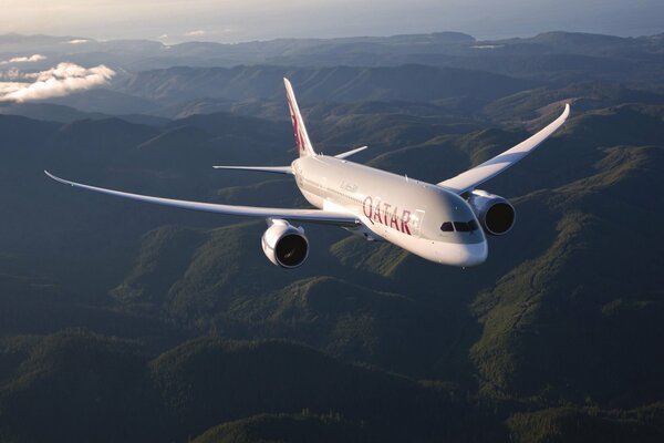 Ein Verkehrsflugzeug fliegt in der Luft über die grünen Berge