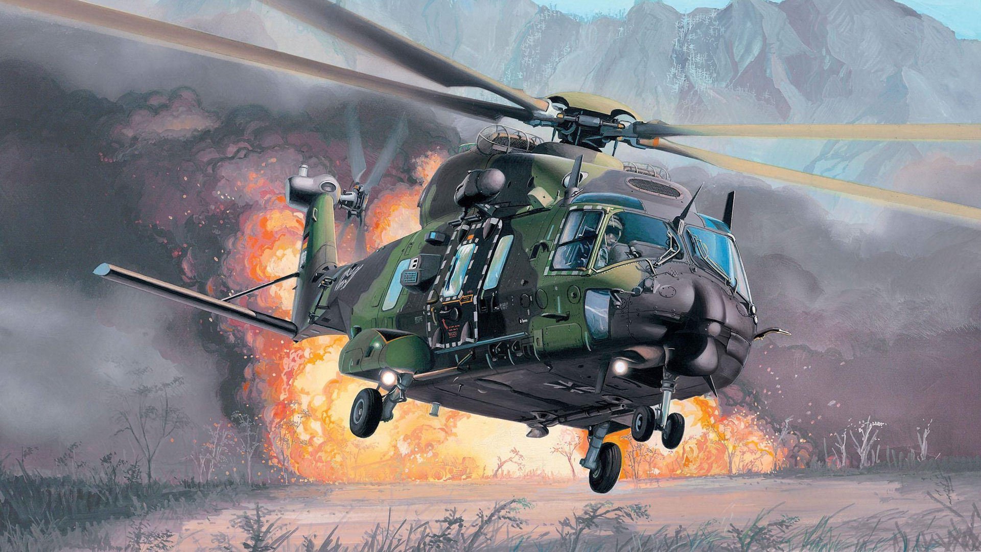 nhi nh90 multi-purpose eurocopter explosion fire extraction