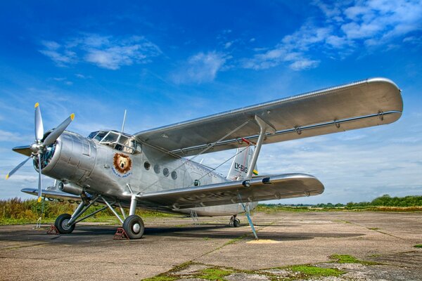 Un avión plateado se encuentra en el aeródromo