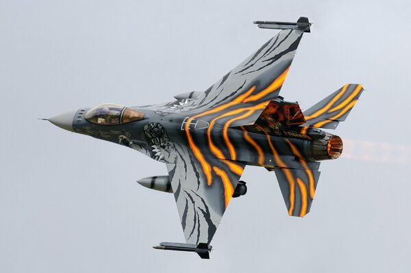 The f-16am fighter in an unusual coloring