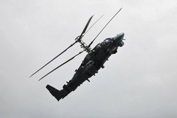 An alligator soars over the Russian sky