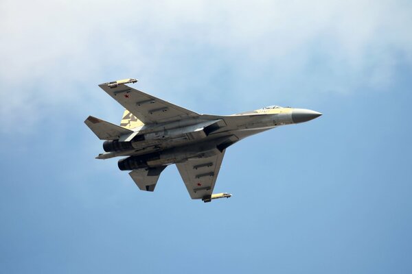 Avión de combate ruso contra el cielo