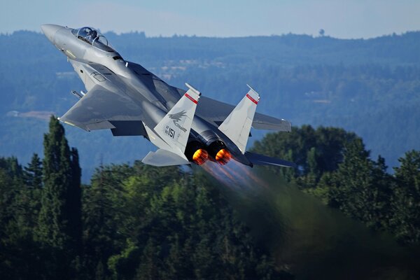 McDonnell Douglas f-15 eagle takes off against the background of the forest