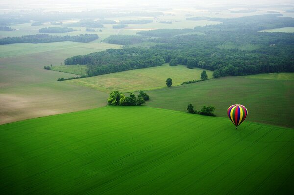 A balloon on a juicy green field