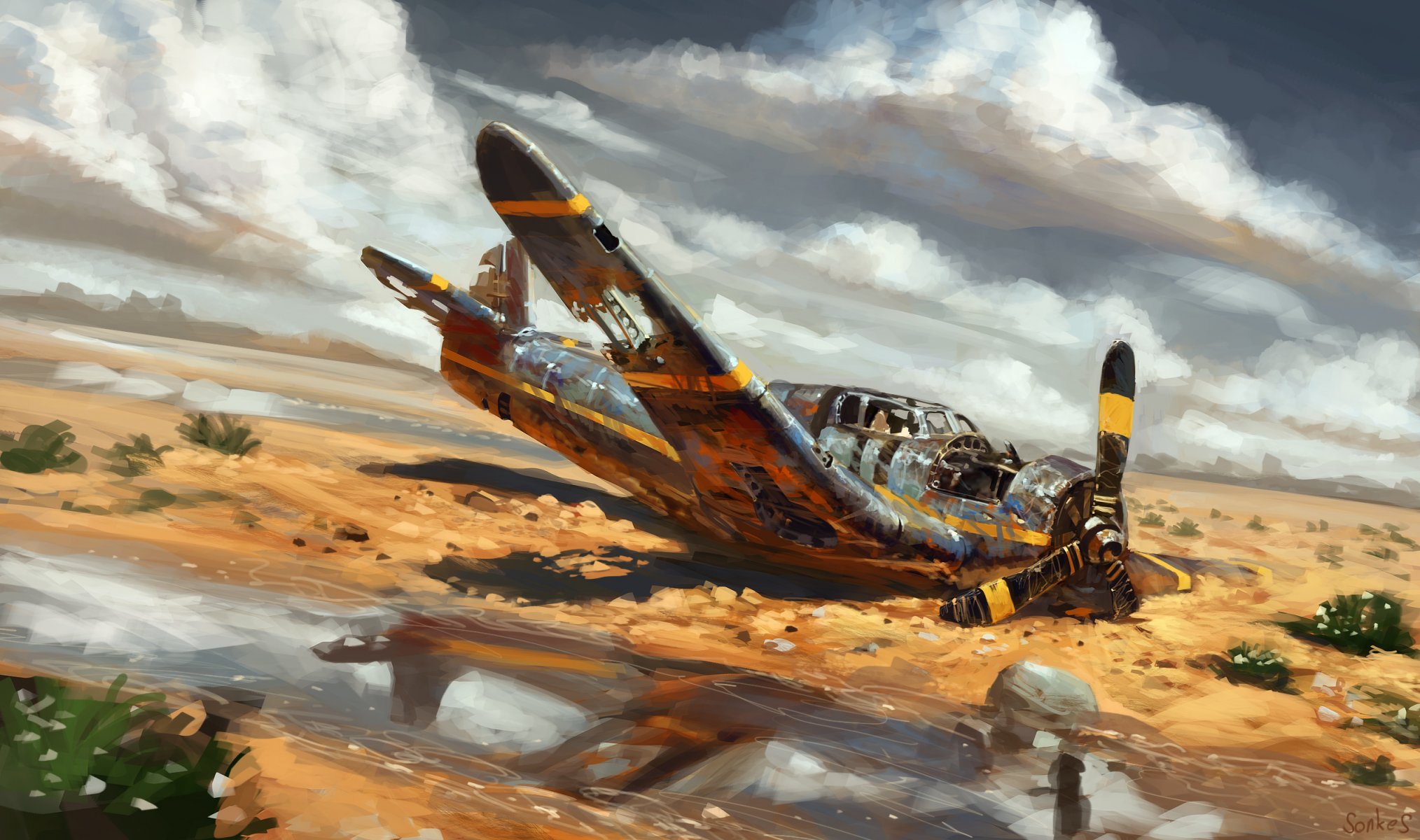 art aviation desert plane crash by real sonke