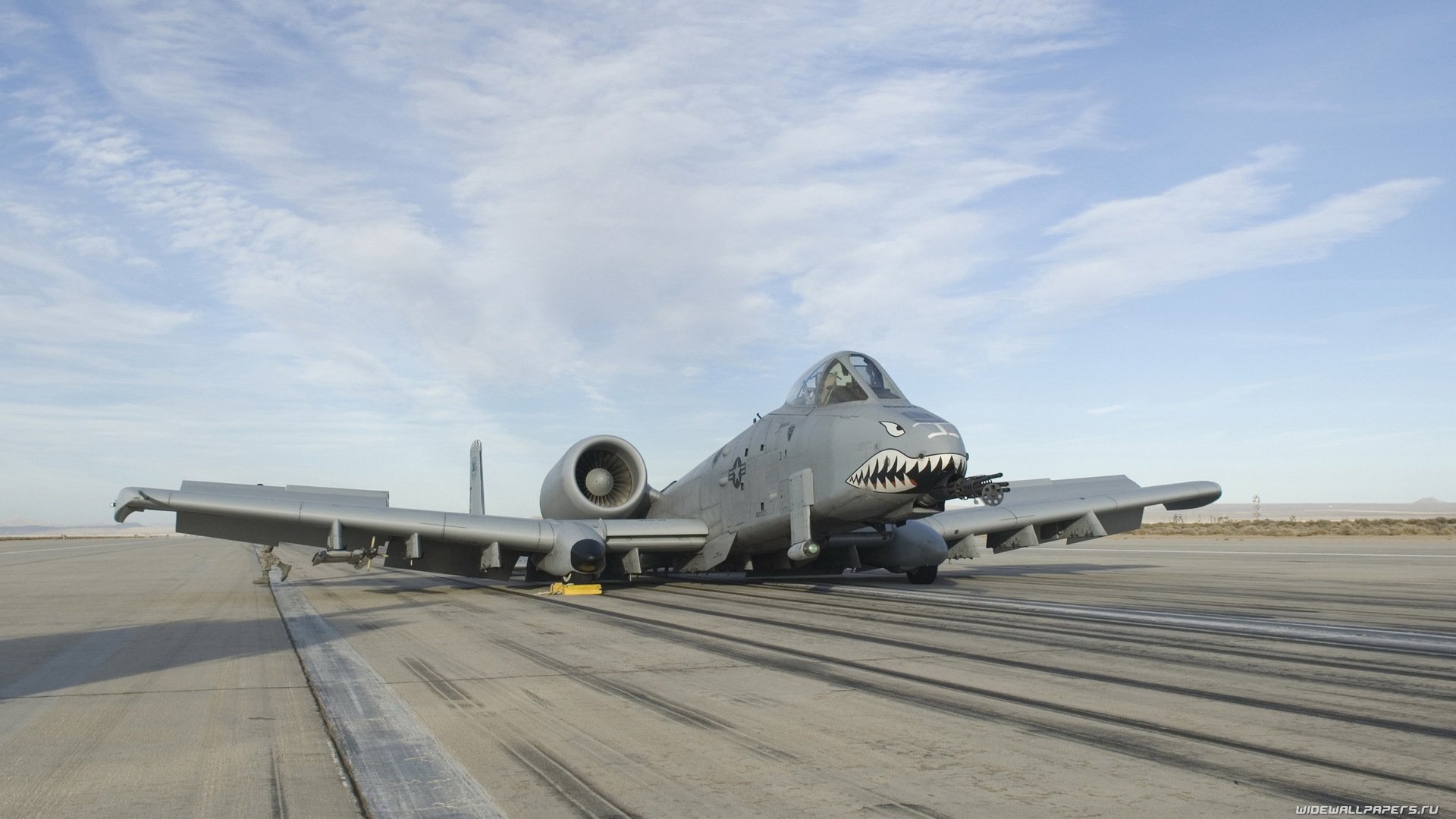 a-10 aviación cielo