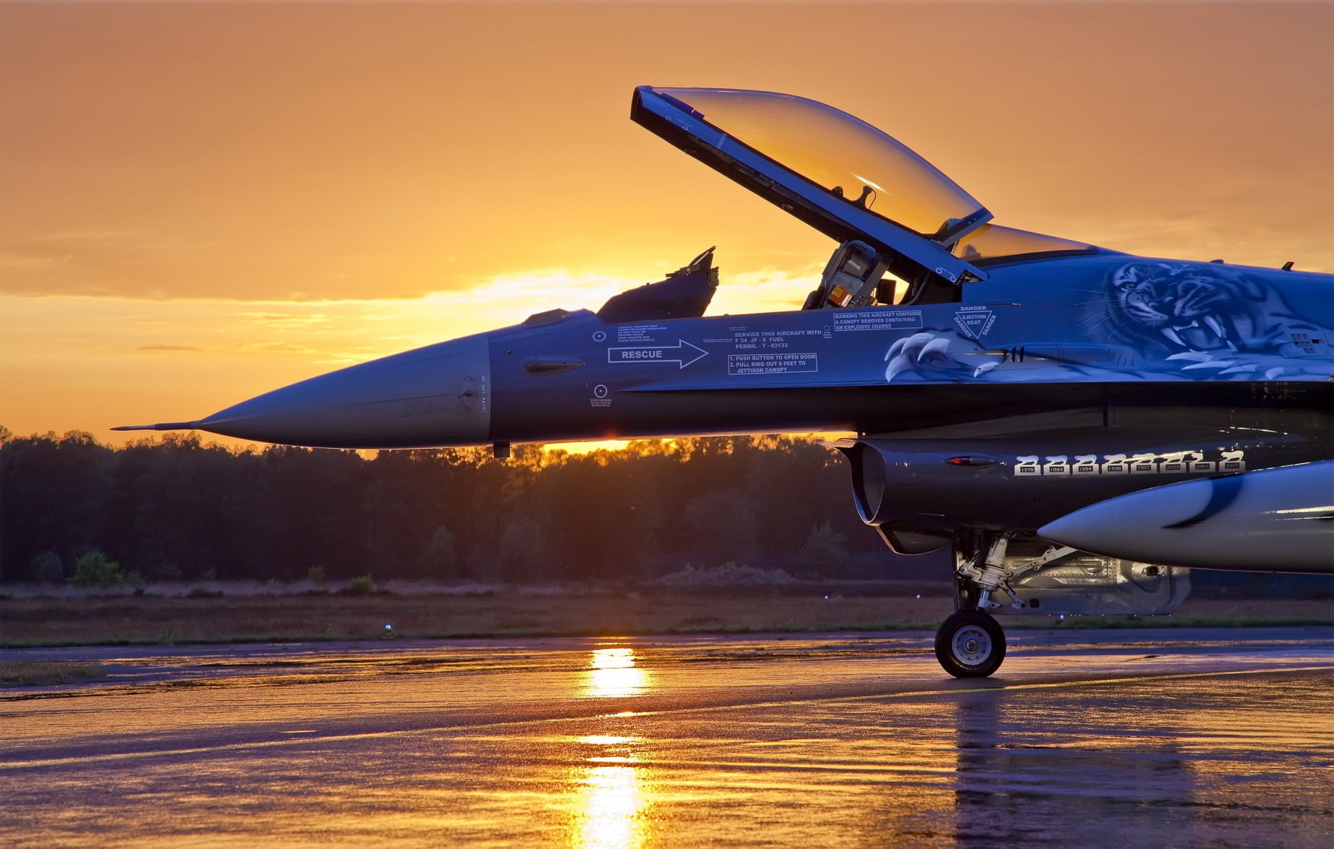 avion general dynamics f-16 fighting falcon multifonction léger combattant quatrième génération aérodrome forêt arbres nuages ciel coucher de soleil soirée