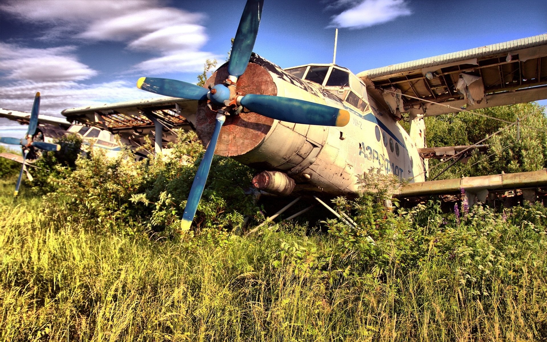 flugzeug maiskolben schraube flügel trümmer