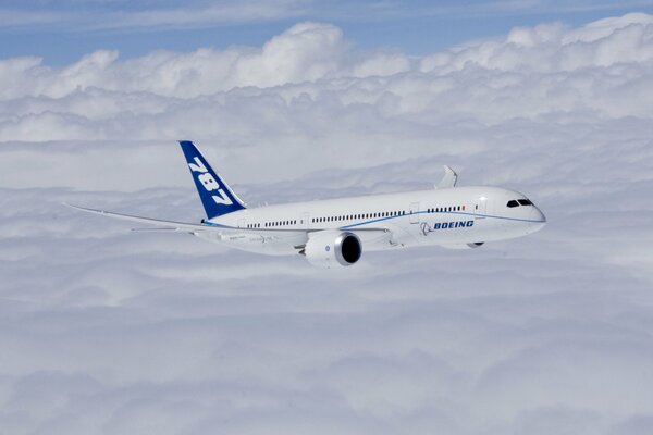 Schönes Flugzeug Boeing 787-8 in den Wolken