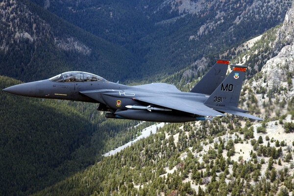 Combattant, avion de montagne dans la forêt