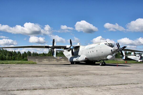 Parked AN-22 transport cargo plane