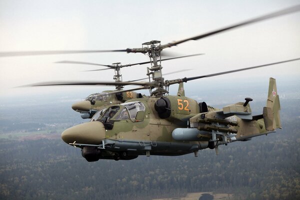 Helicópteros militares Ka-52, volando sobre el bosque