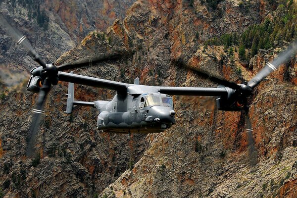 Foto di Osprey, PIL in azione