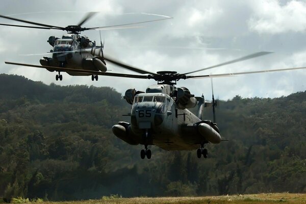 Landing helicopters take off from the ground