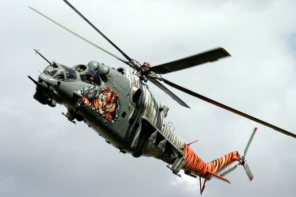 Hélicoptère en couleur tigre avec l image d un tigre dans le ciel