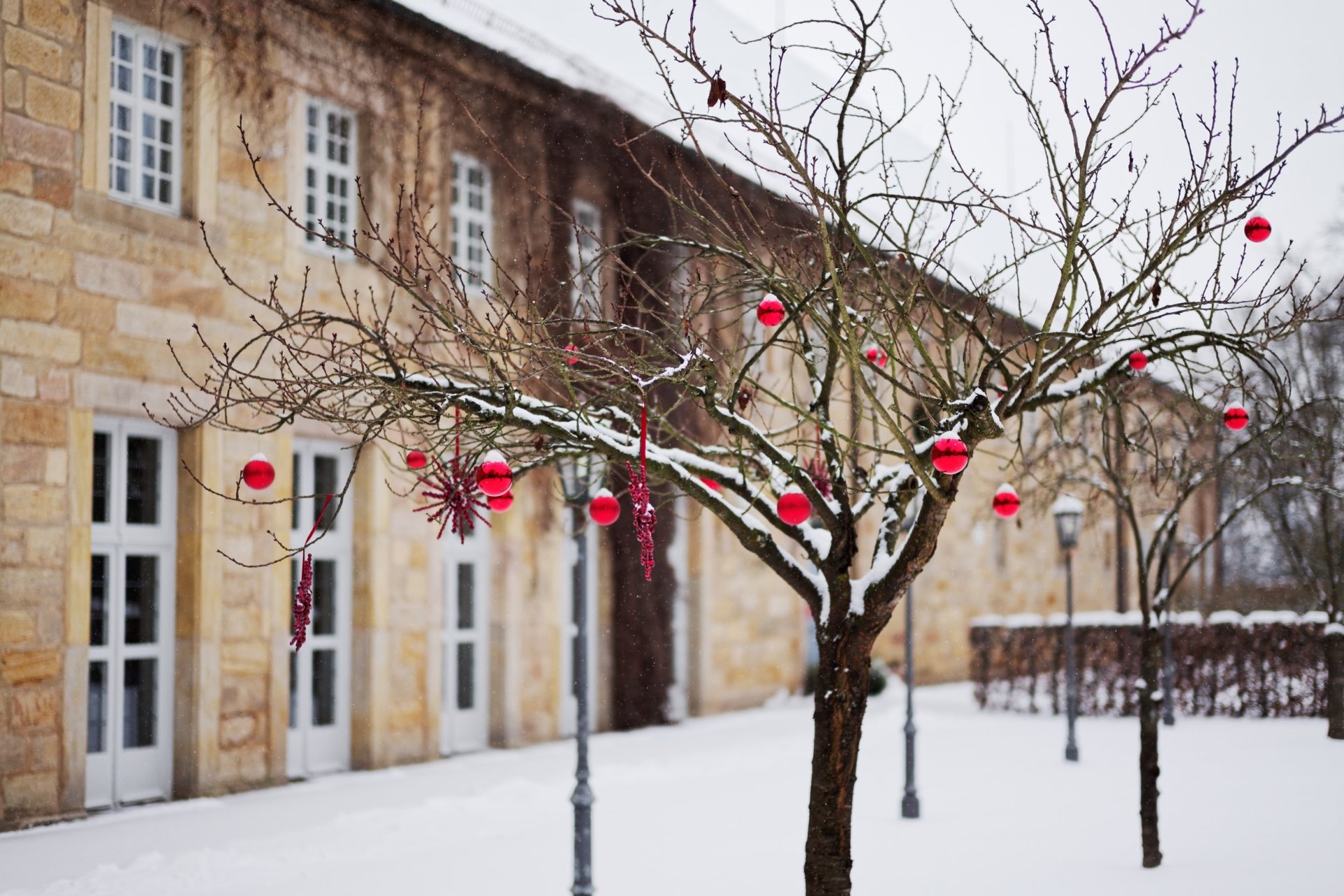 vacances arbre jouets