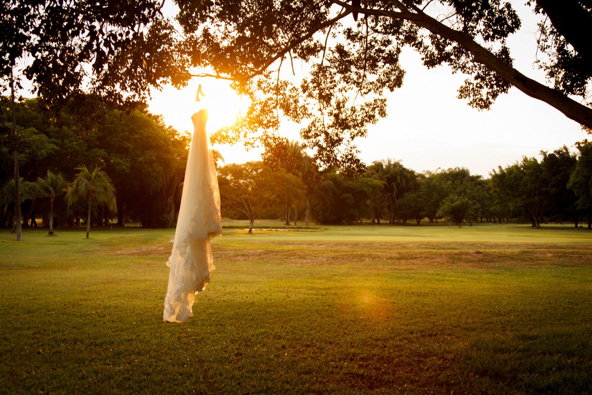 robe coucher de soleil arbre mariage