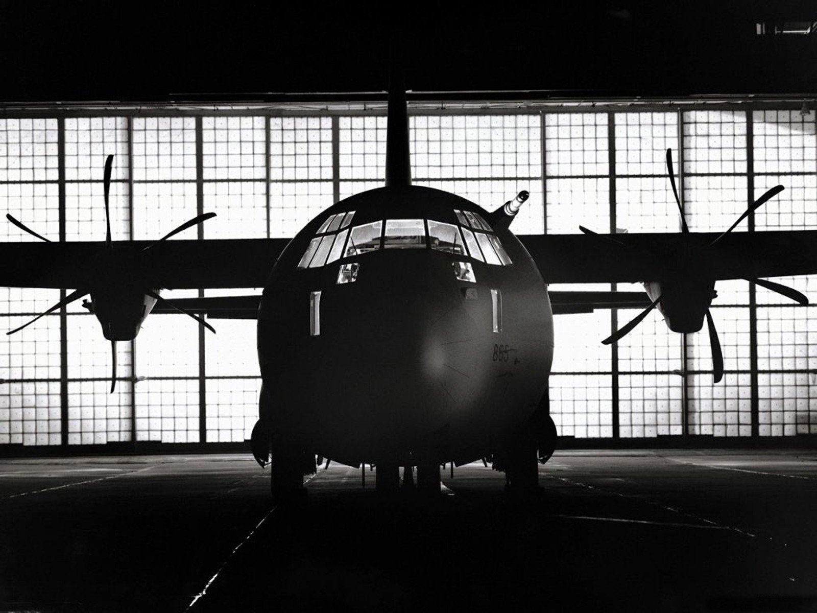 avion noir et blanc hélice