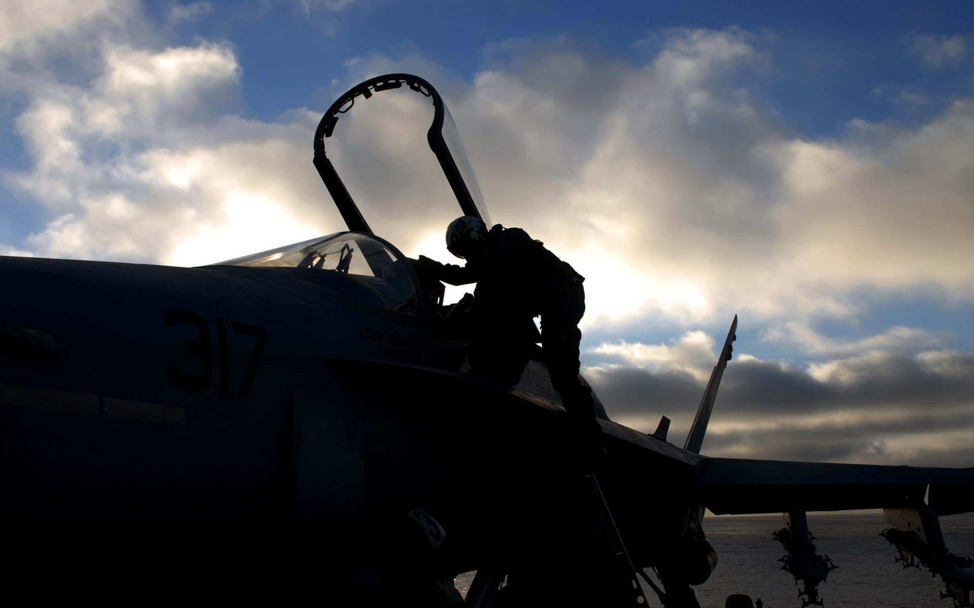 fighter cabin pilot silhouette