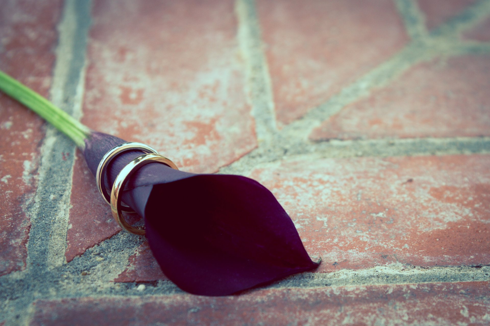 calla fleur anneaux mariage