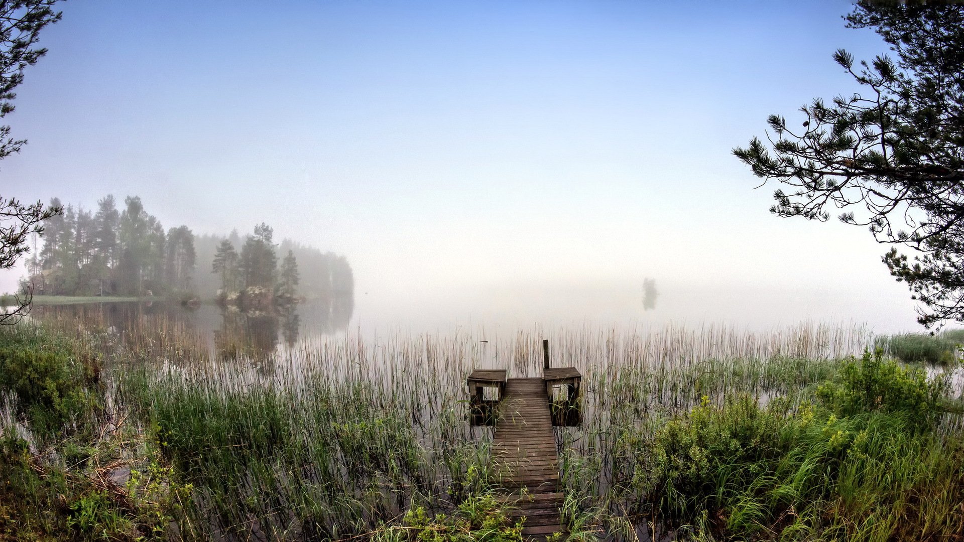 lac pont brouillard