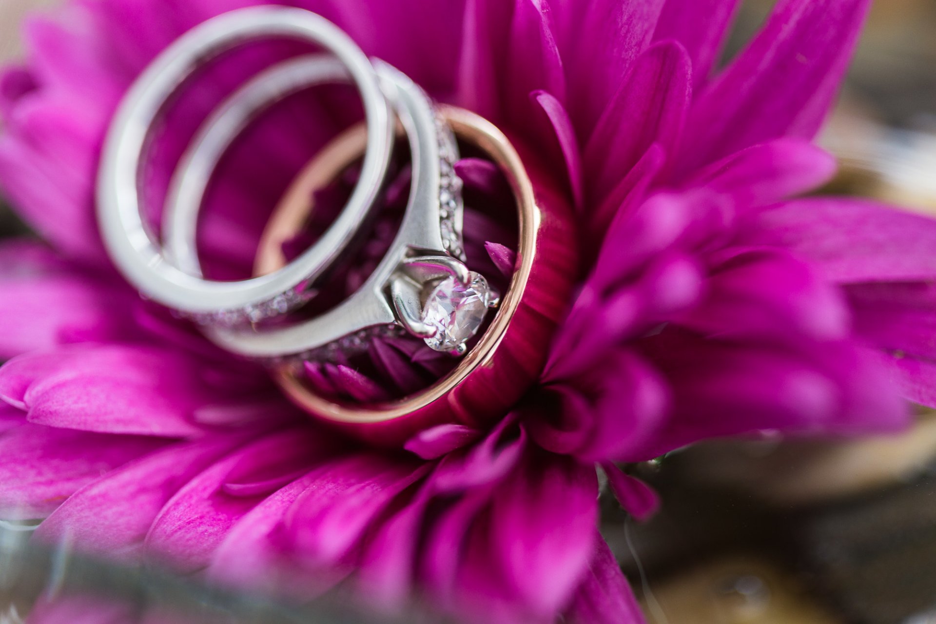 blume ringe blütenblätter hochzeit verlobung