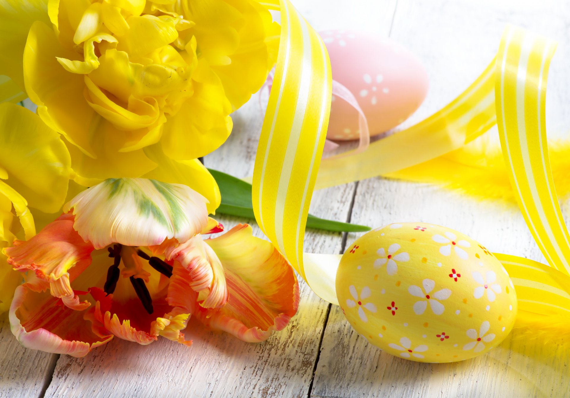 vacances pâques tulipes oeufs jaune fleurs photo