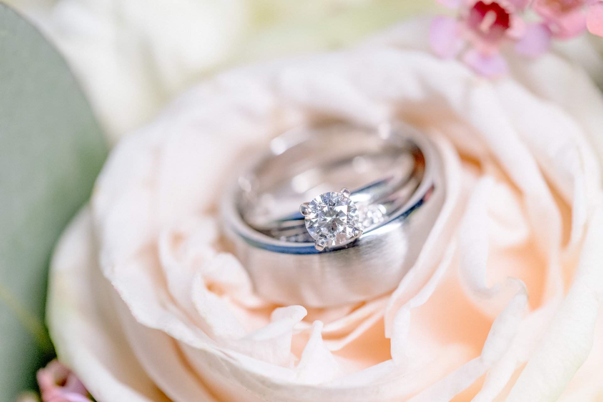 ringe blume hochzeit verlobung