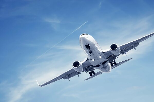 El avión alcanzó altura en el cielo