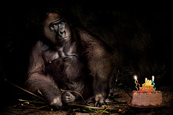 Joyeux anniversaire mon singe