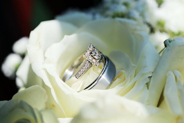 Свадебные фото. Обручальное кольцо в лепестках белых роз