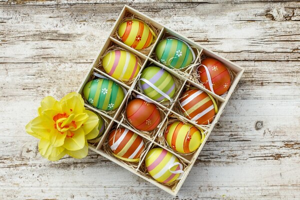 Colored Easter eggs in a daffodil box