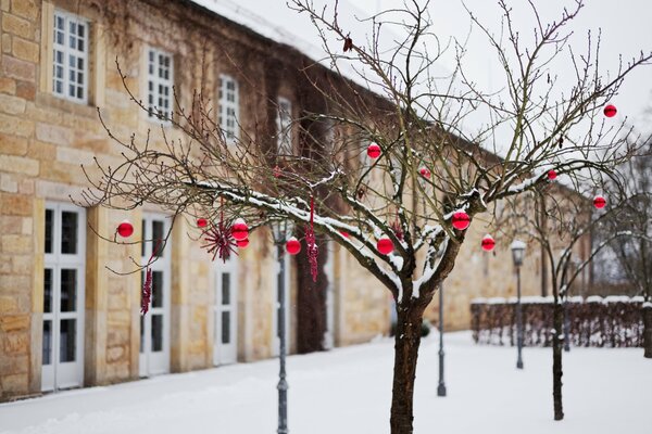 Christmas tree toys hang on a tree outside in winter