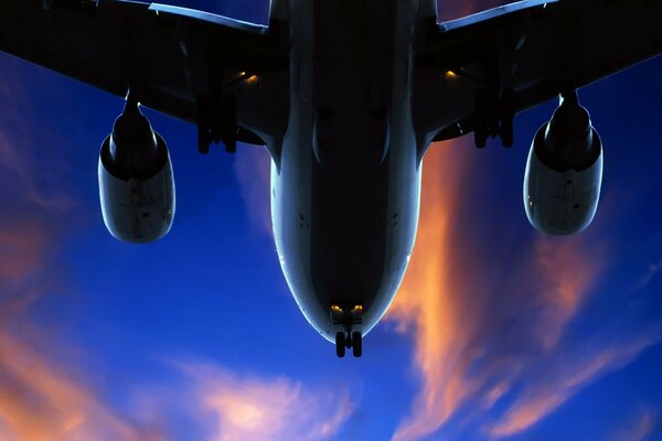 The plane lands on the ground during sunset