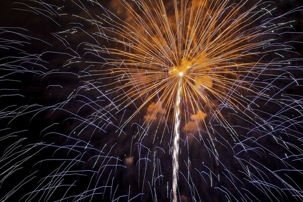 Festliches Feuerwerk am dunklen Himmel