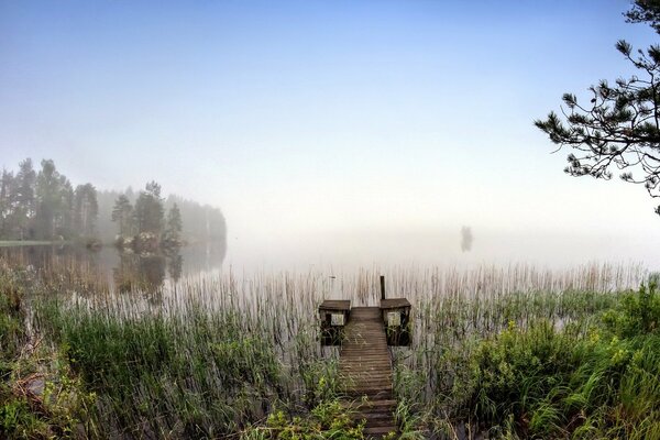 Brücke am See im Nebel