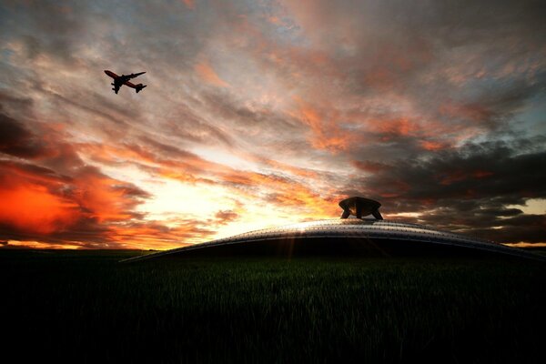 Silhouette eines Flugzeugs, das in den Sonnenuntergang fliegt