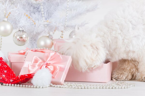 Regalos en tonos rosa suave para el año nuevo