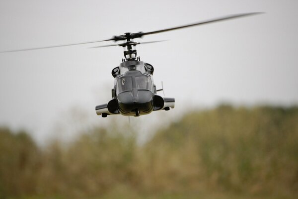 An amphibious helicopter flies over the forest