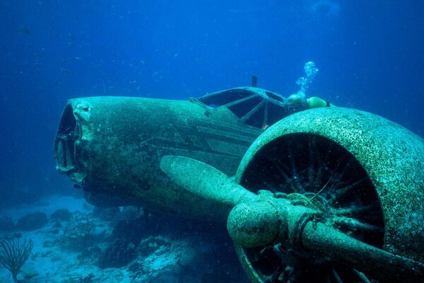 Photo of an airplane on the seabed