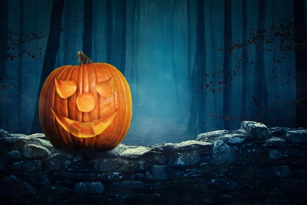 Halloween pumpkin standing in the night forest