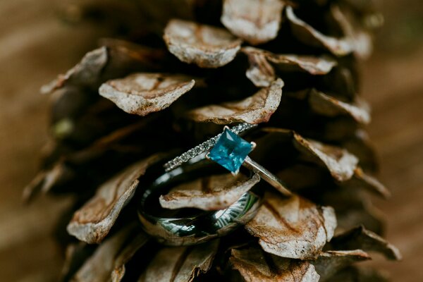 Ring with topaz in a fir cone