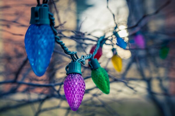 Garland with colorful light bulbs hanging