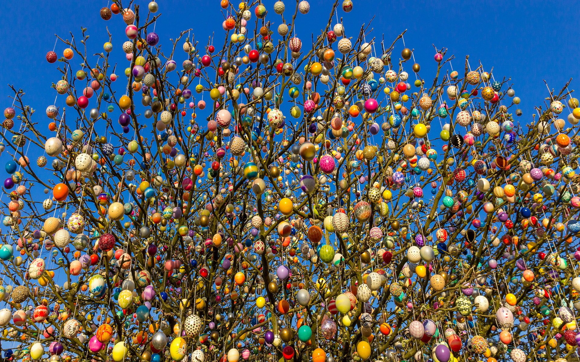 huevo árbol fiesta