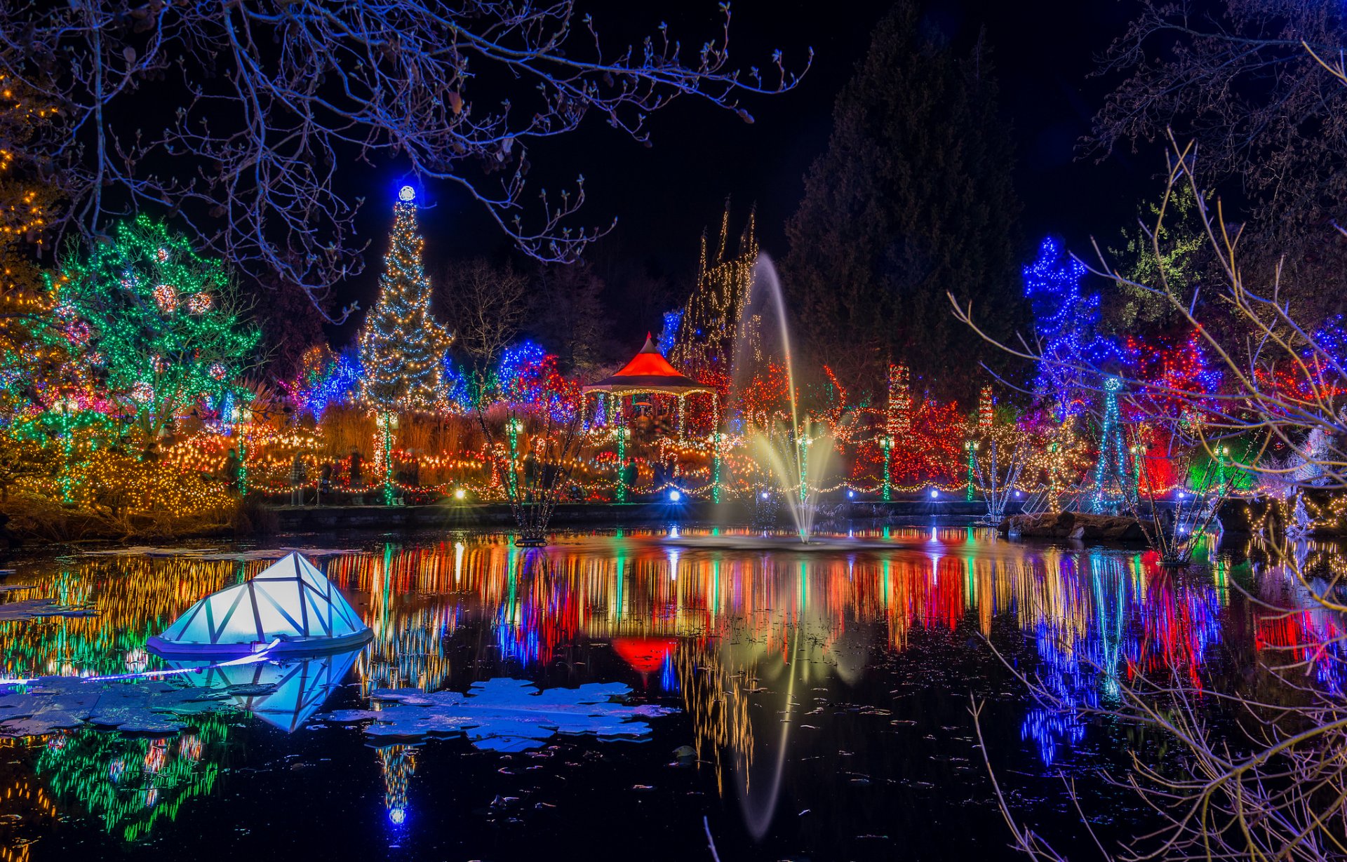 parc nuit lumières guirlande étang réflexion noël nouvel an