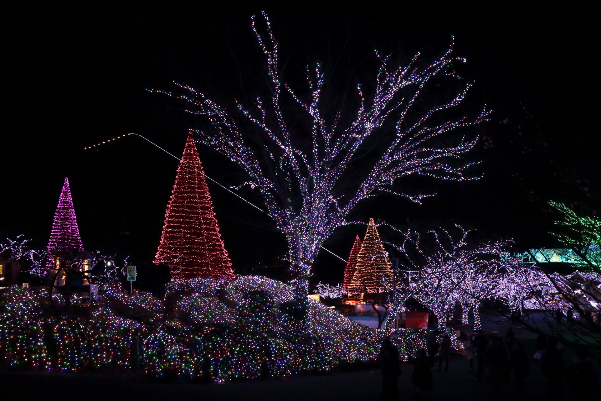 noël nouvel an nuit lumières guirlandes