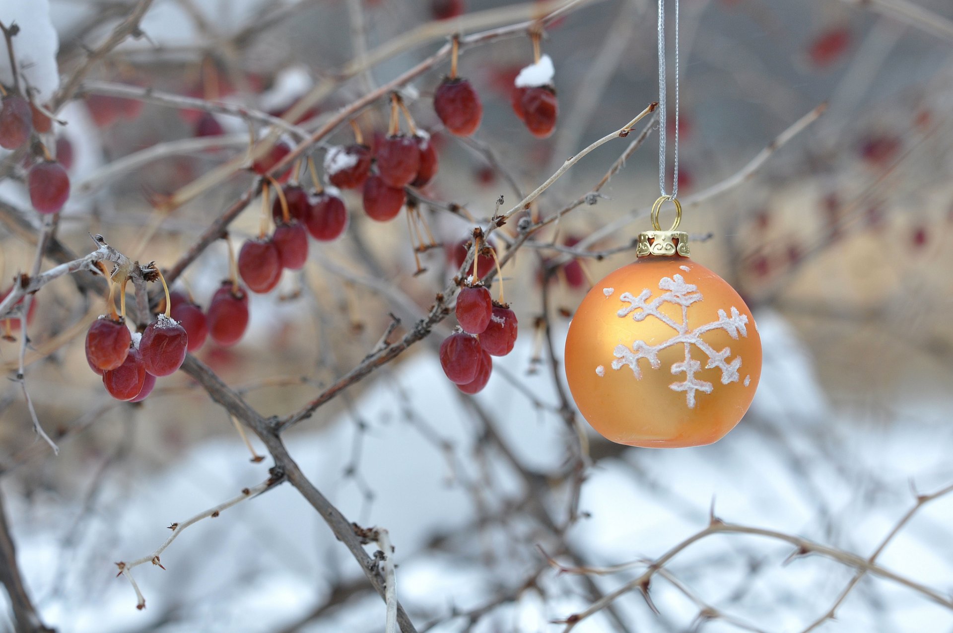 buisson baies hiver boule décoration nouvel an noël