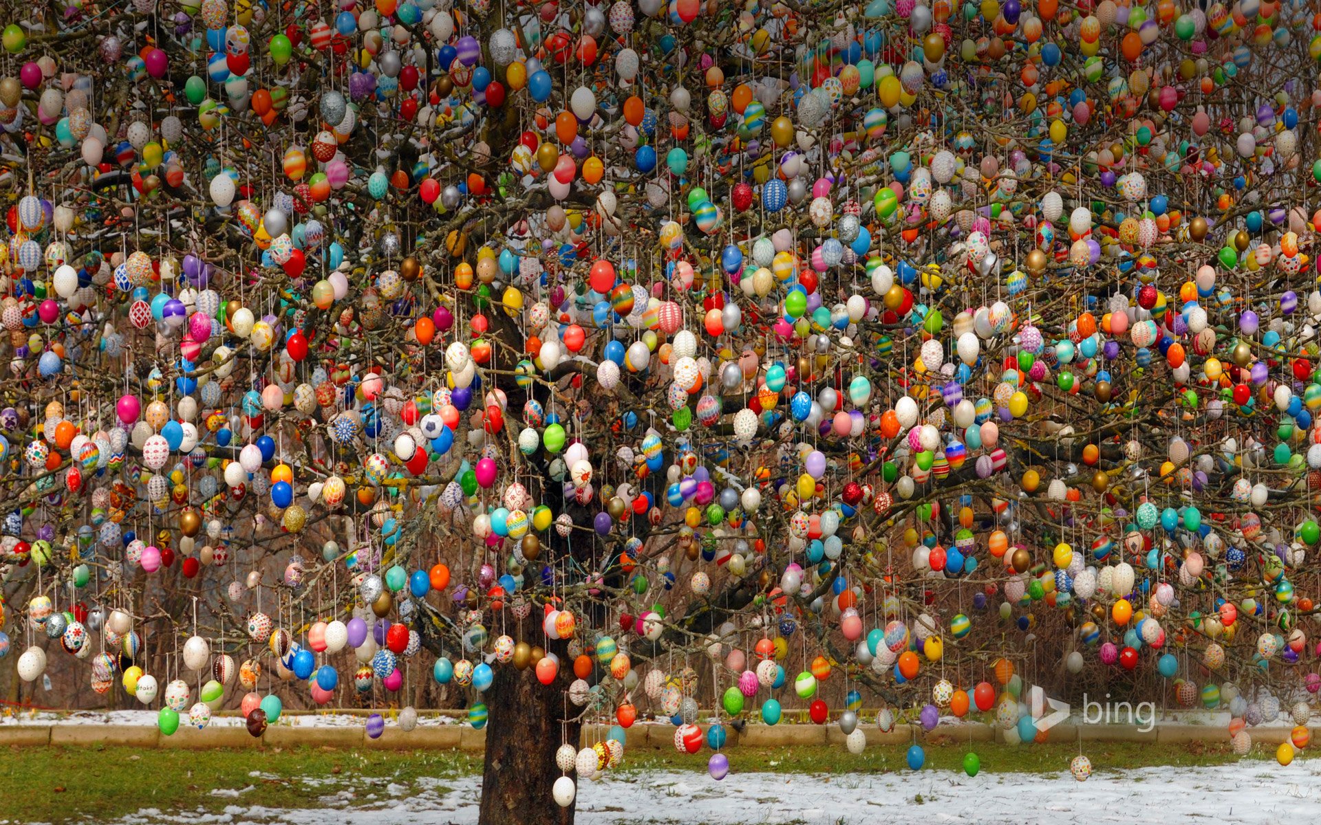 saalfeld alemania pascua árbol huevos