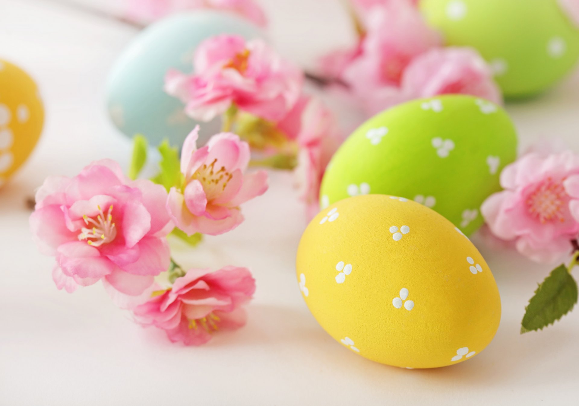 easter eggs flowers thin