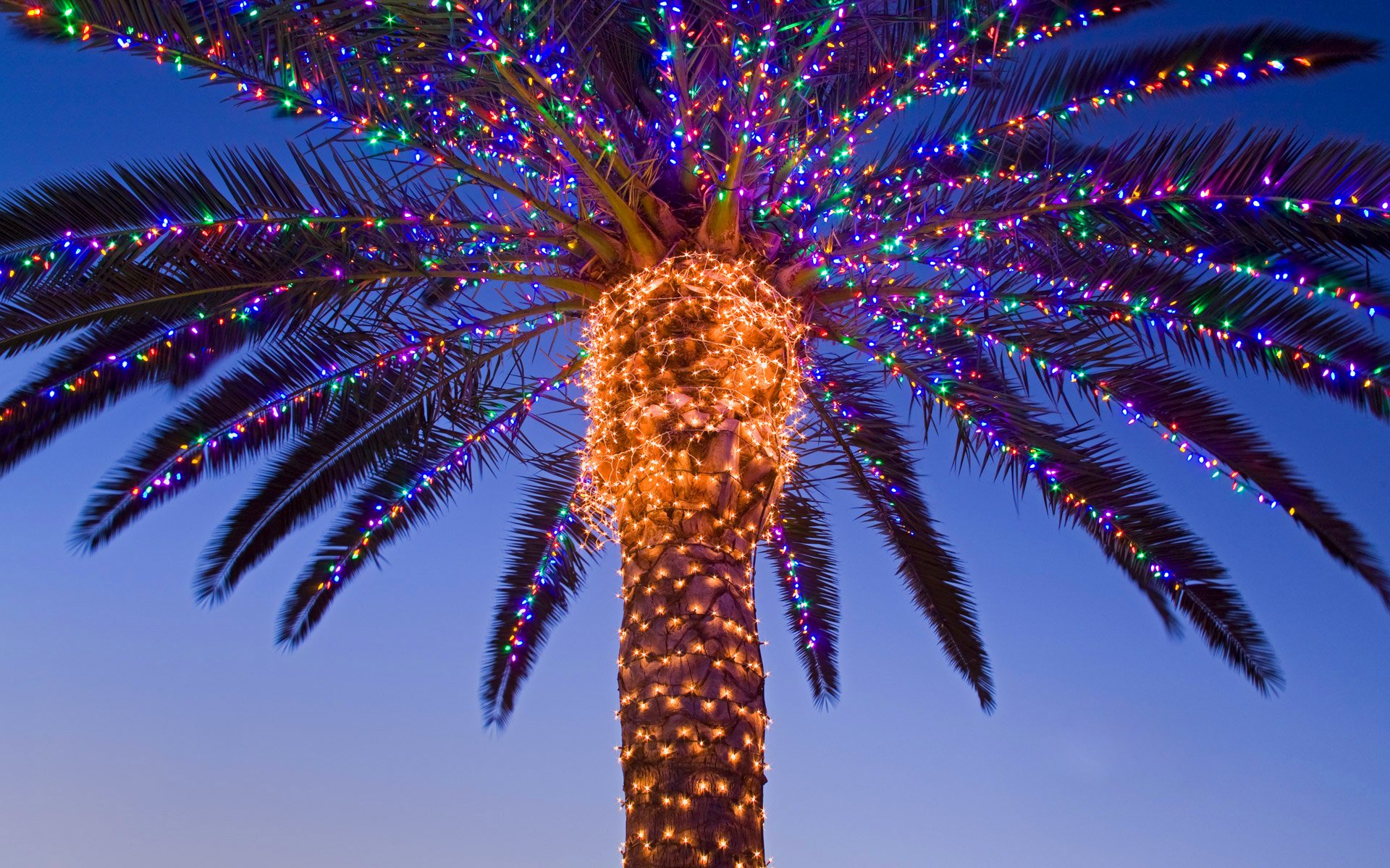 weihnachten neujahr girlande palme temecula-tal kalifornien usa